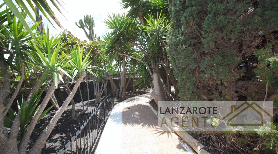 La Asomada -Lanzarote Agents0048