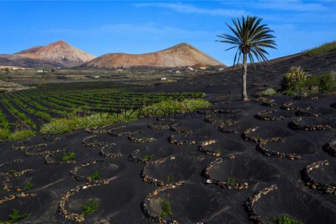 Investment Opportunity Rural Hotel in the Winery District, La Geria in Lanzarote