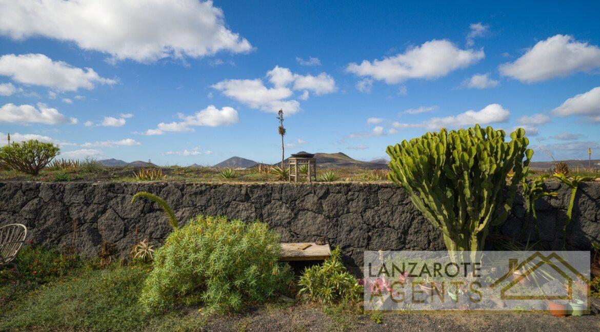 La Geria -Lanzarote Agents0033