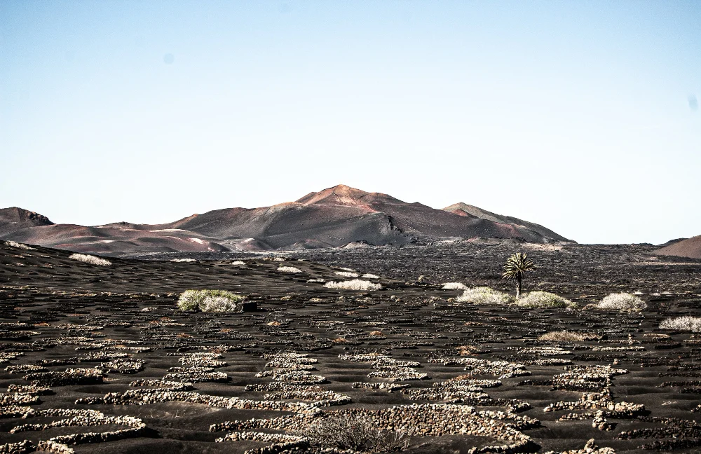 things to do in Lanzarote with kids