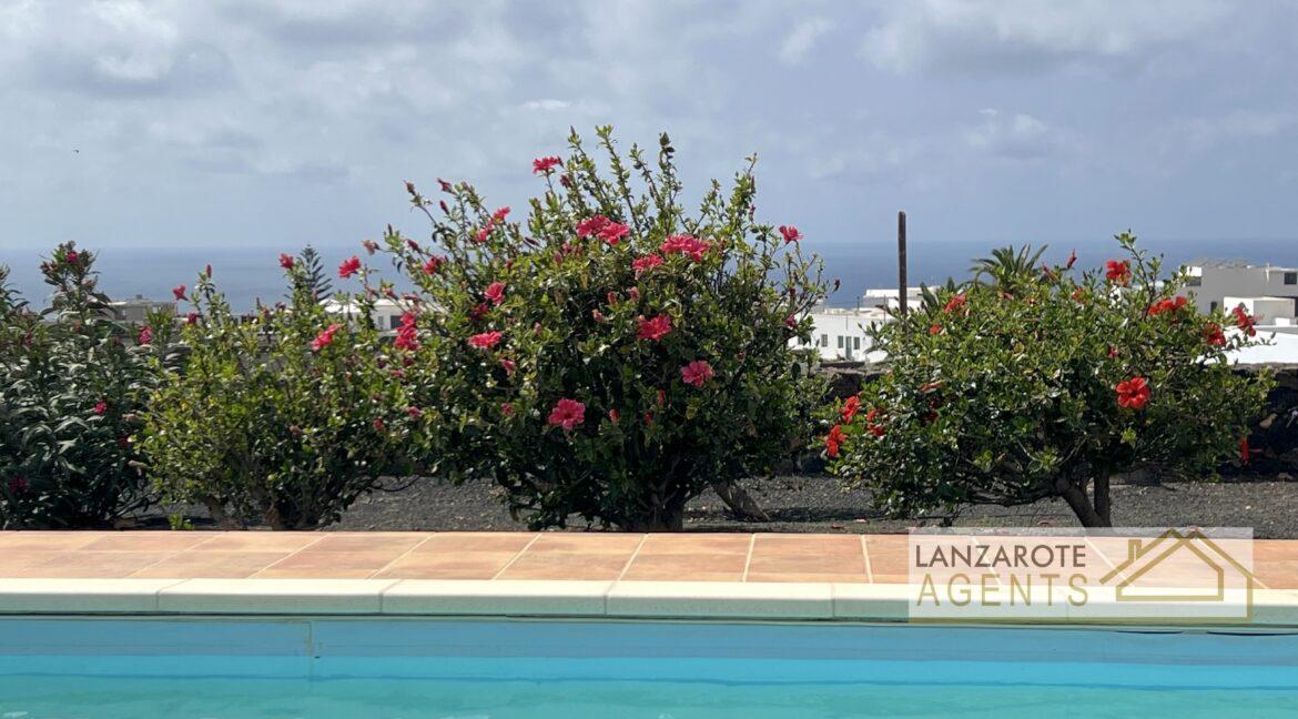 LAS BREÑAS - Lanzarote Agents 0073