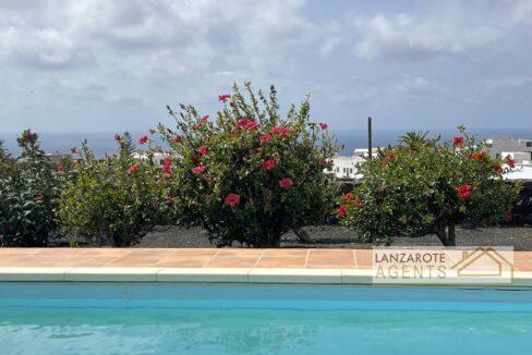 LAS BREÑAS - Lanzarote Agents 0073