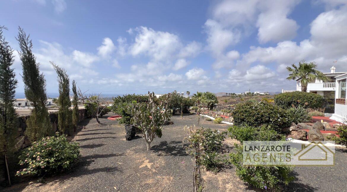 LAS BREÑAS - Lanzarote Agents 0082
