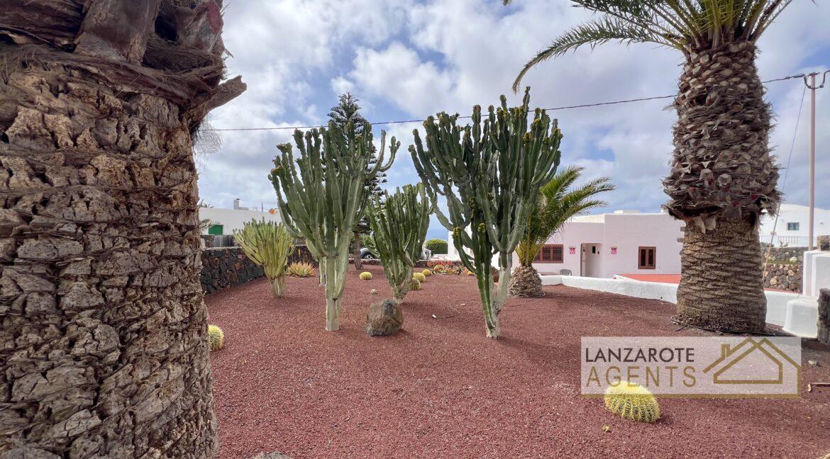 LAS BREÑAS - Lanzarote Agents 0084