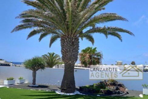 Playa Blanca - Lanzarote Agents 0000