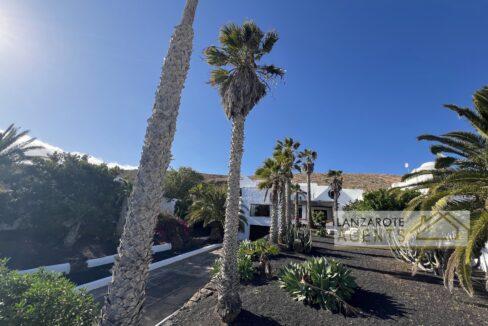 Playa Blanca - Lanzarote Agents 1008