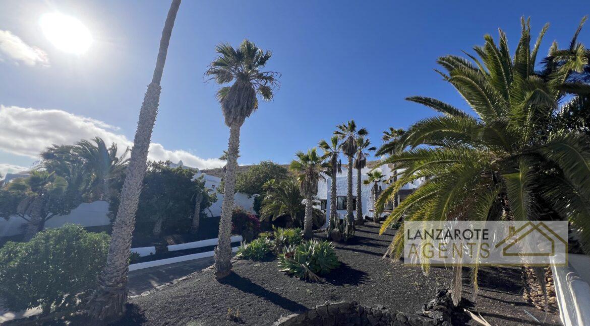Playa Blanca - Lanzarote Agents 1009