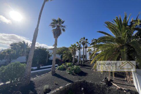 Playa Blanca - Lanzarote Agents 1009