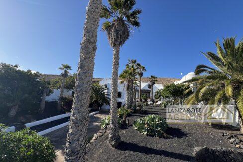 Playa Blanca - Lanzarote Agents 1010