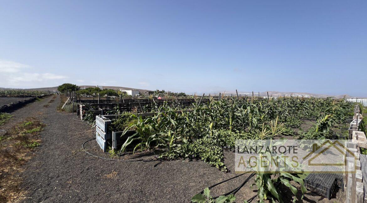 Playa Blanca - Lanzarote Agents 0000