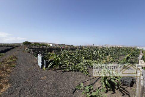 Playa Blanca - Lanzarote Agents 0000