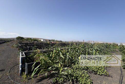 Playa Blanca - Lanzarote Agents 0003