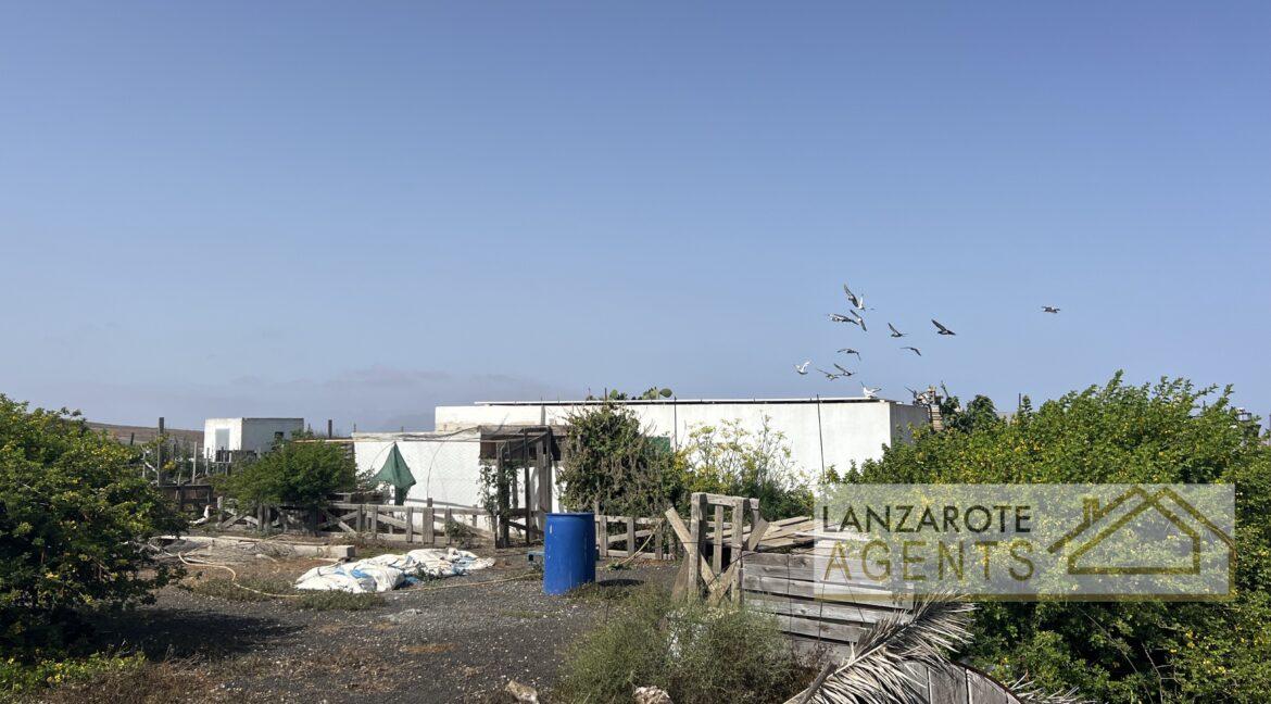 Playa Blanca - Lanzarote Agents 0007