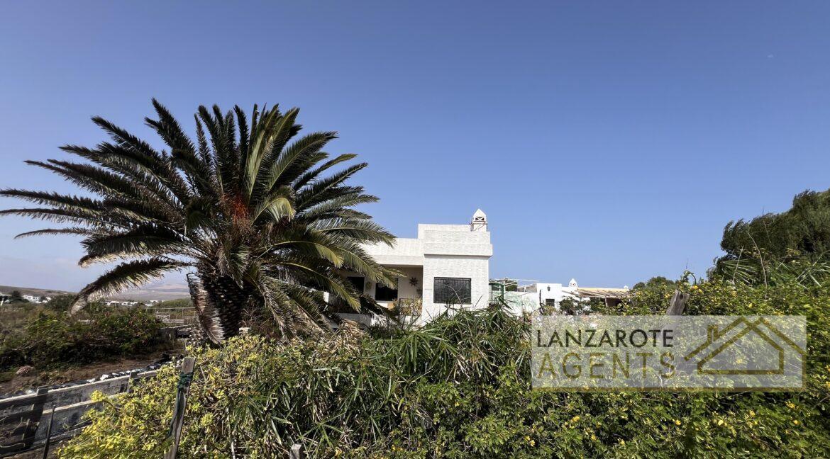 Playa Blanca - Lanzarote Agents 0008