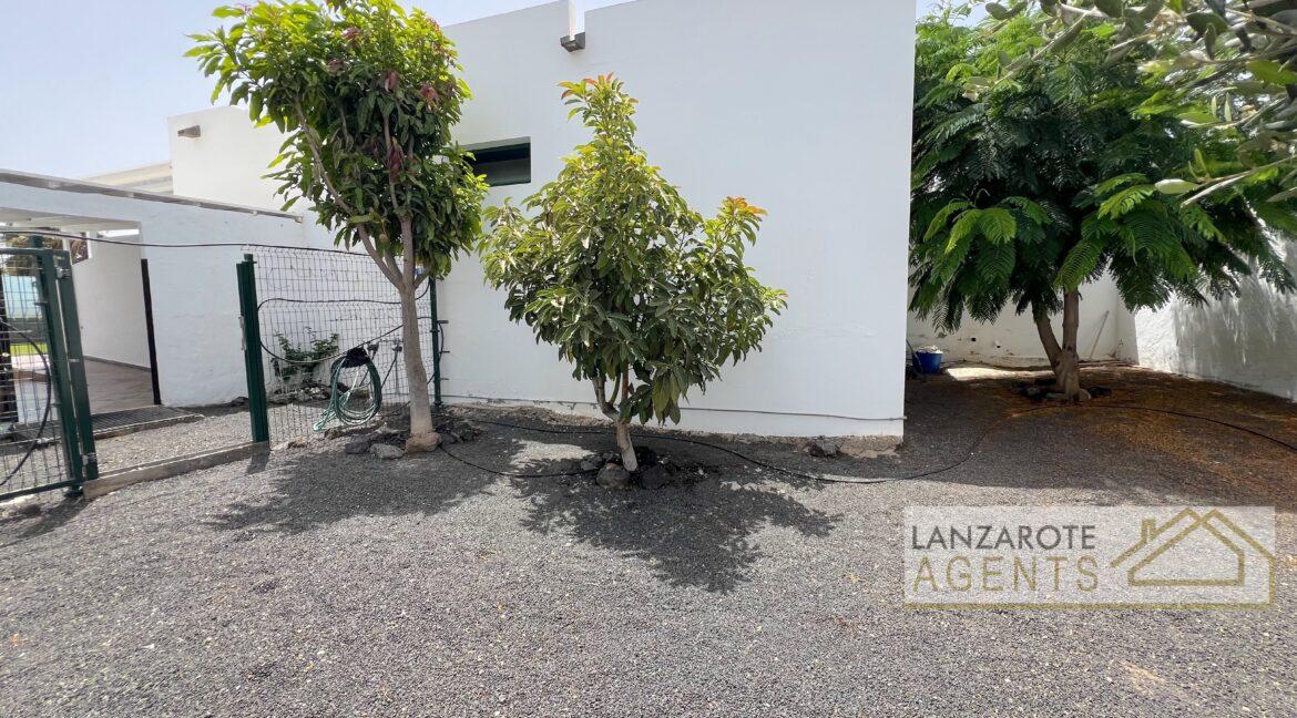 Playa Blanca - Lanzarote Agents 0027