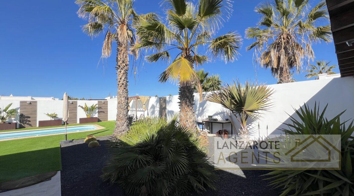 puerto del carmen vs playa blanca