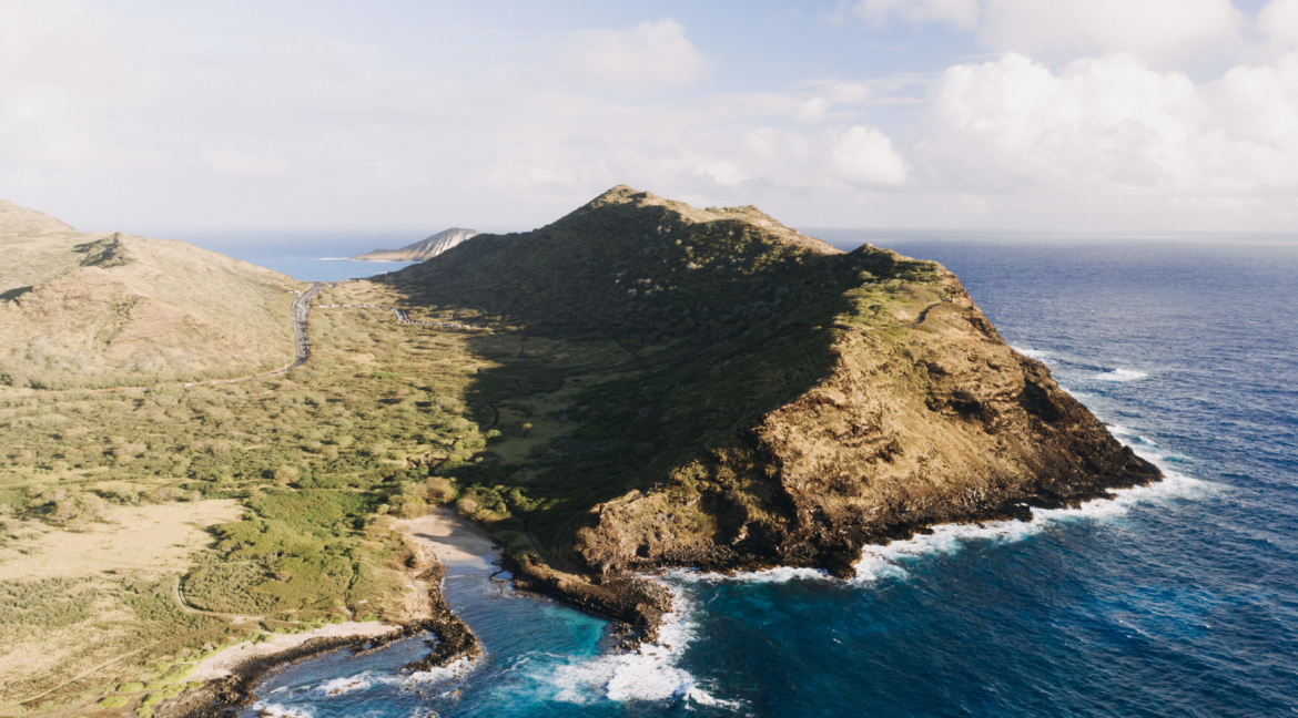 ascav canary islands holiday rental law