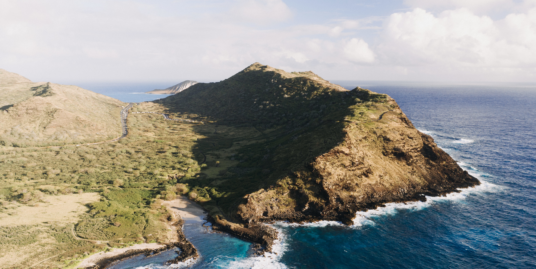 ascav canary islands holiday rental law