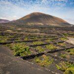 lanzarote in spain