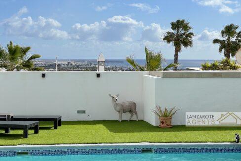 Playa Blanca - Lanzarote Agents 0010