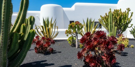 casas en venta lanzarote