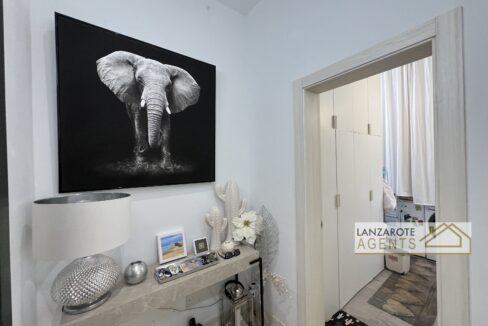 Playa Blanca - Lanzarote Agents 0004