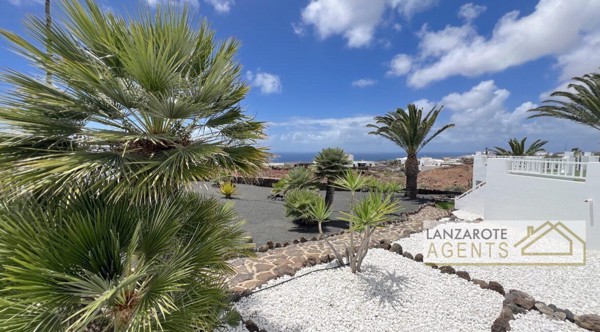 Las Breñas - Lanzarote Agents 0090
