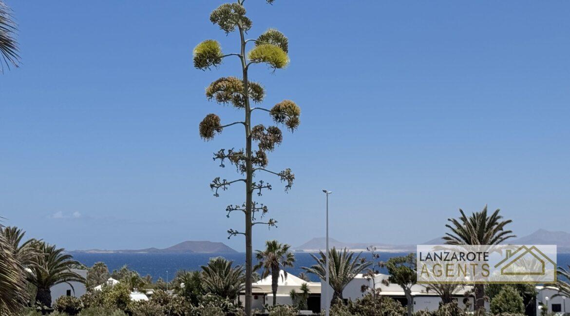 Playa Blanca Apartment Rental - Lanzarote Agents 0033