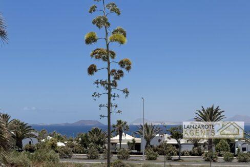 Playa Blanca Apartment Rental - Lanzarote Agents 0033