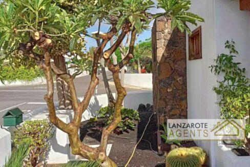El Cable - Lanzarote Agents 0022