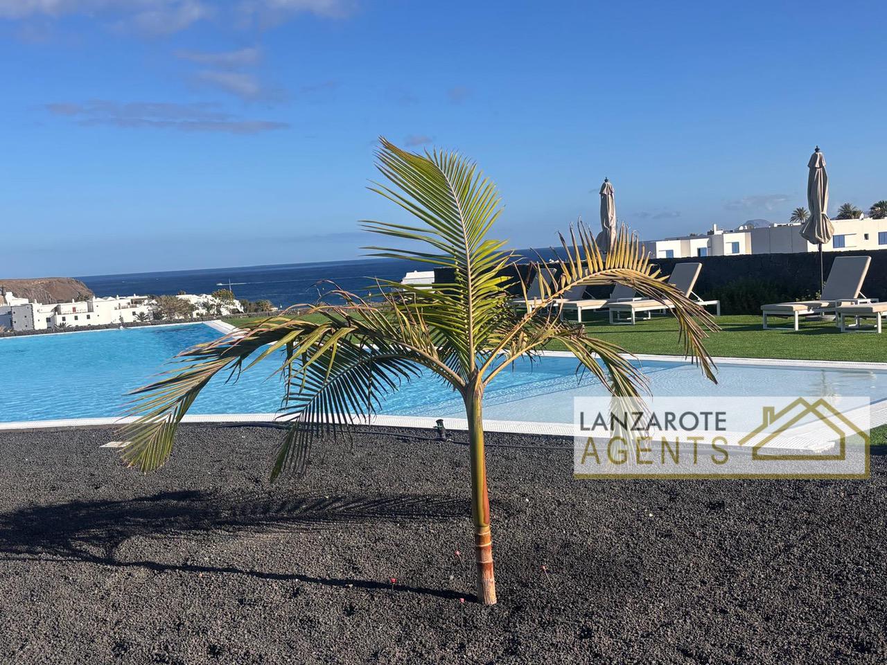 Puerto del Carmen vs Playa Blanca