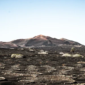 things to do in Lanzarote with kids